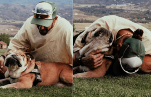 Hamilton, è morto il cane Roscoe: "La decisione più difficile della mia vita" Hamilton, è morto il cane Roscoe: "La decisione più difficile della mia vita"