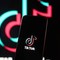 Disordini e proteste, TikTok condanna le violenze: attivata una 'task force' e rimossi video e account Disordini e proteste, TikTok condanna le violenze: attivata una 'task force' e rimossi video e account