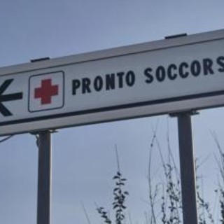 Morso di zecca e rischio encefalite, Bassetti: "Grave infezione virale, massima attenzione" Morso di zecca e rischio encefalite, Bassetti: "Grave infezione virale, massima attenzione"