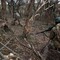Ucraina: mobilitazione, raid e ruolo della Bielorussia. Mosca prepara nuova escalation? Ucraina: mobilitazione, raid e ruolo della Bielorussia. Mosca prepara nuova escalation?