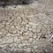 Clima, allarme Onu: "Terra in zona pericolo. El Niño sta assumendo proporzioni enormi" Clima, allarme Onu: "Terra in zona pericolo. El Niño sta assumendo proporzioni enormi"