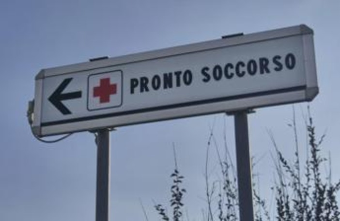 Morso di zecca e rischio encefalite, Bassetti: "Grave infezione virale, massima attenzione" Morso di zecca e rischio encefalite, Bassetti: "Grave infezione virale, massima attenzione"
