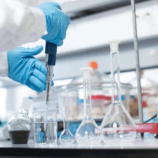 Farmaceutica: Bms Italia tra i Best Workplaces 2026, è seconda tra le aziende medio-grandi Farmaceutica: Bms Italia tra i Best Workplaces 2026, è seconda tra le aziende medio-grandi