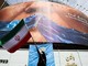 Usa-Iran, 60 giorni senza accordo: il nucleare e lo Stretto di Hormuz restano i nodi Usa-Iran, 60 giorni senza accordo: il nucleare e lo Stretto di Hormuz restano i nodi