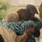 Lo spot contro lo stupro 'attacca' i nonni, bufera in Irlanda Lo spot contro lo stupro 'attacca' i nonni, bufera in Irlanda