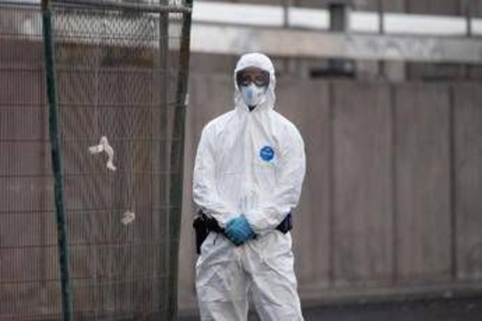 Hantavirus, l'esperta: "Non si rischia nuova pandemia, più letale ma diverso da Covid"