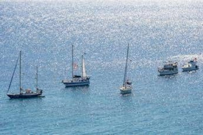 Flotilla, espulsione immediata o carcere: cosa succede agli italiani fermati Flotilla, espulsione immediata o carcere: cosa succede agli italiani fermati