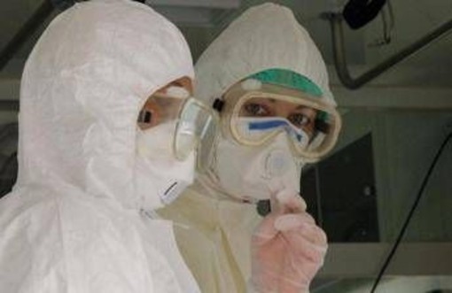 Virus Shamonda, Lopalco: "È favorito da crisi climatica, svegliamoci"