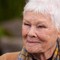 Judi Dench e la malattia agli occhi: "Non posso più recitare, né leggere un libro" Judi Dench e la malattia agli occhi: "Non posso più recitare, né leggere un libro"