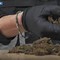 Maxi operazione della polizia: 1.335 arresti, sequestrati 450 kg di droga
