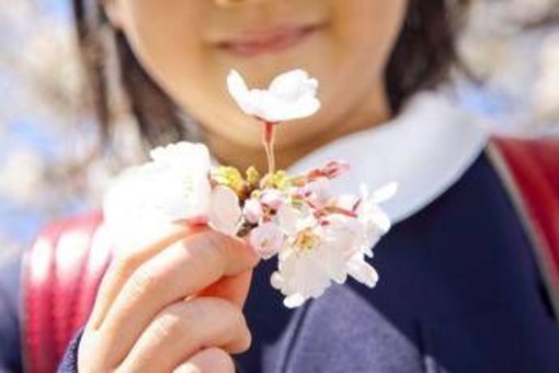 È il primo giorno di primavera, ecco perché l'equinozio cade oggi 20 marzo