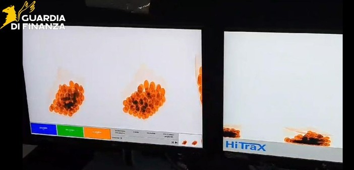 Traffico di eroina a Malpensa, sequestro per 1 milione e 7 arresti Traffico di eroina a Malpensa, sequestro per 1 milione e 7 arresti