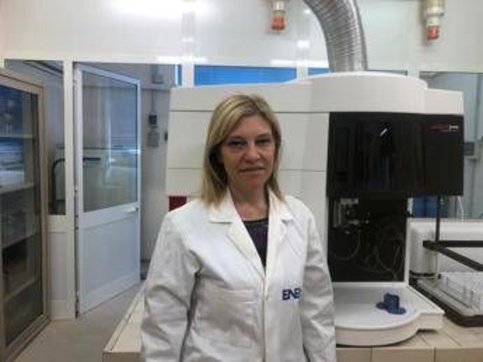 Ricerca, Zoani (Enea): "Con Metrofood-It scienza al servizio di sistemi agroalimentari" Ricerca, Zoani (Enea): "Con Metrofood-It scienza al servizio di sistemi agroalimentari"