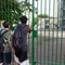 Aggressioni a scuola, non solo la prof accoltellata a Roma: docenti nel mirino, molti casi analoghi in questi anni Aggressioni a scuola, non solo la prof accoltellata a Roma: docenti nel mirino, molti casi analoghi in questi anni