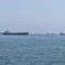 Non solo petrolio, la guerra tra Iran e Usa blocca i pistacchi: stop all'export
