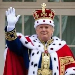 Trump 'trolla' i manifestanti, il video con il presidente-re Trump 'trolla' i manifestanti, il video con il presidente-re