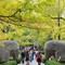 Cina, cresce il mercato interno del turismo Cina, cresce il mercato interno del turismo