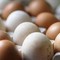 Rischio salmonella, ritirato lotto di uova Selex