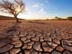 Temperature oltre la media, siccità ed eventi estremi: allarme clima in Europa