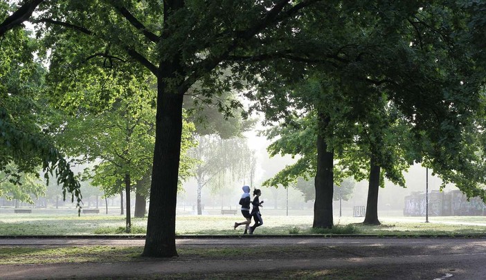 Urban Health, città più sane per migliorare la salute dei cittadini Urban Health, città più sane per migliorare la salute dei cittadini