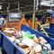 Cina, oltre 150 miliardi di pacchi consegnati dal servizio postale Cina, oltre 150 miliardi di pacchi consegnati dal servizio postale
