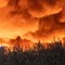 Croazia, brucia Lokva Rogoznica: almeno 36 feriti nell'incendio, 7 rischiano la vita Croazia, brucia Lokva Rogoznica: almeno 36 feriti nell'incendio, 7 rischiano la vita