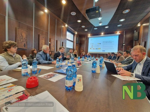 Wooooow! Biella torna a Città Studi: due giorni per orientarsi tra scuola, formazione e lavoro FOTO Wooooow! Biella torna a Città Studi: due giorni per orientarsi tra scuola, formazione e lavoro FOTO