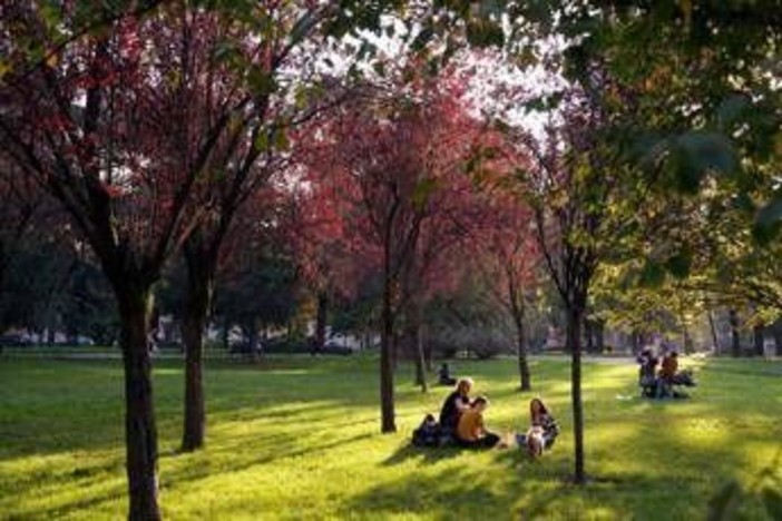 Ultime piogge poi arriva l’estate di San Martino in anticipo: le previsioni meteo Ultime piogge poi arriva l’estate di San Martino in anticipo: le previsioni meteo