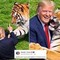 Uomo sbranato da una tigre, Trump posta il video: "Non si scherza con la natura". Poi pubblica la parodia con IA Uomo sbranato da una tigre, Trump posta il video: "Non si scherza con la natura". Poi pubblica la parodia con IA