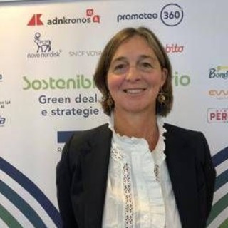 Ferrovie, Chabrol (Sncf Voyages Italia): "Obiettivo diventare terzo operatore Av in Italia" Ferrovie, Chabrol (Sncf Voyages Italia): "Obiettivo diventare terzo operatore Av in Italia"