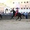 Palio Siena, la Contrada della Giraffa vince la terza prova Palio Siena, la Contrada della Giraffa vince la terza prova