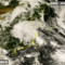 La Cina presenta primi modelli IA di satelliti per condizioni meteo estreme La Cina presenta primi modelli IA di satelliti per condizioni meteo estreme