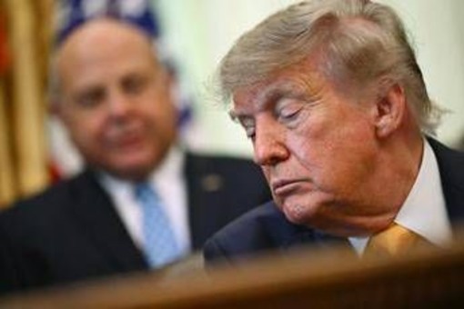 Ucraina-Russia, Trump: "Ho una proposta di pace". Witkoff e Kushner prima da Putin e poi da Zelensky