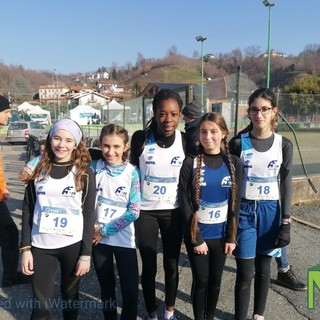 winter brich winter brich