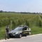 Vendemmia in nero, scoperti 25 braccianti irregolari nel trevigiano Vendemmia in nero, scoperti 25 braccianti irregolari nel trevigiano