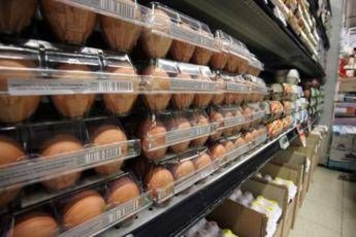 Uova in frigorifero, la 'scoperta' del Regno Unito... Uova in frigorifero, la 'scoperta' del Regno Unito...