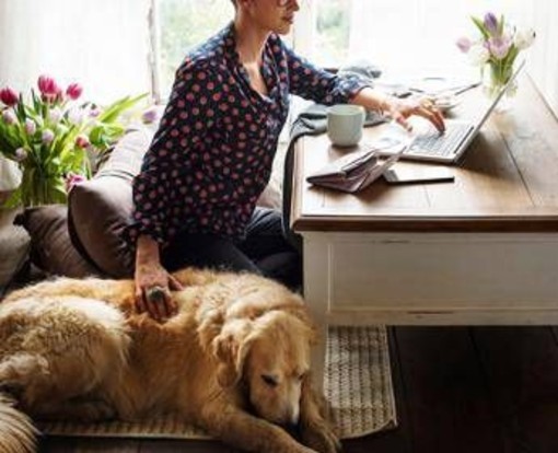 Dalla qualità della vita alla longevità: ecco gli effetti benefici del legame uomo-cane Dalla qualità della vita alla longevità: ecco gli effetti benefici del legame uomo-cane