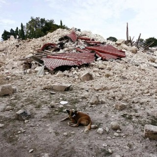 Violento terremoto nelle Filippine, almeno 69 morti. Decine i feriti