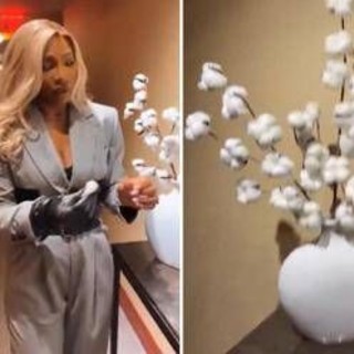 Serena Williams e la pianta di cotone in hotel: "Non va bene"