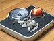 Biella: Obesity Day, giovani in campo per insegnare gli stili di vita sani