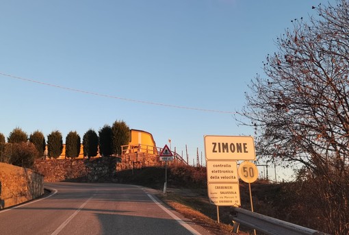 zimone raccolta zimone raccolta