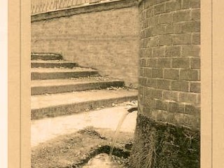 Dono di natura, foto copyright Roberto Marchisotti