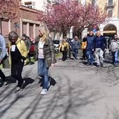 I ciliegi degli Zumaglini: La voce fuori dal coro di un lettore - foto di repertorio I ciliegi degli Zumaglini: La voce fuori dal coro di un lettore - foto di repertorio