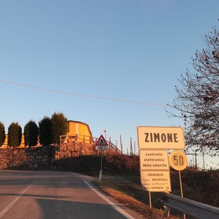 zimone raccolta