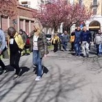 I ciliegi degli Zumaglini: La voce fuori dal coro di un lettore - foto di repertorio I ciliegi degli Zumaglini: La voce fuori dal coro di un lettore - foto di repertorio