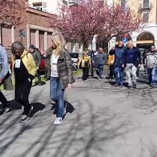I ciliegi degli Zumaglini: La voce fuori dal coro di un lettore - foto di repertorio