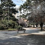 Giardini Zumaglini, approvato il progetto di riqualificazione da 2,5 milioni di euro Giardini Zumaglini, approvato il progetto di riqualificazione da 2,5 milioni di euro