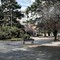 Giardini Zumaglini, approvato il progetto di riqualificazione da 2,5 milioni di euro